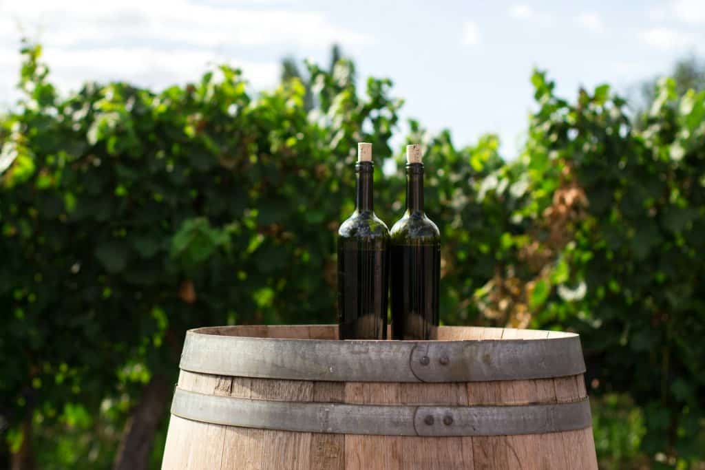 vin et loi Evin